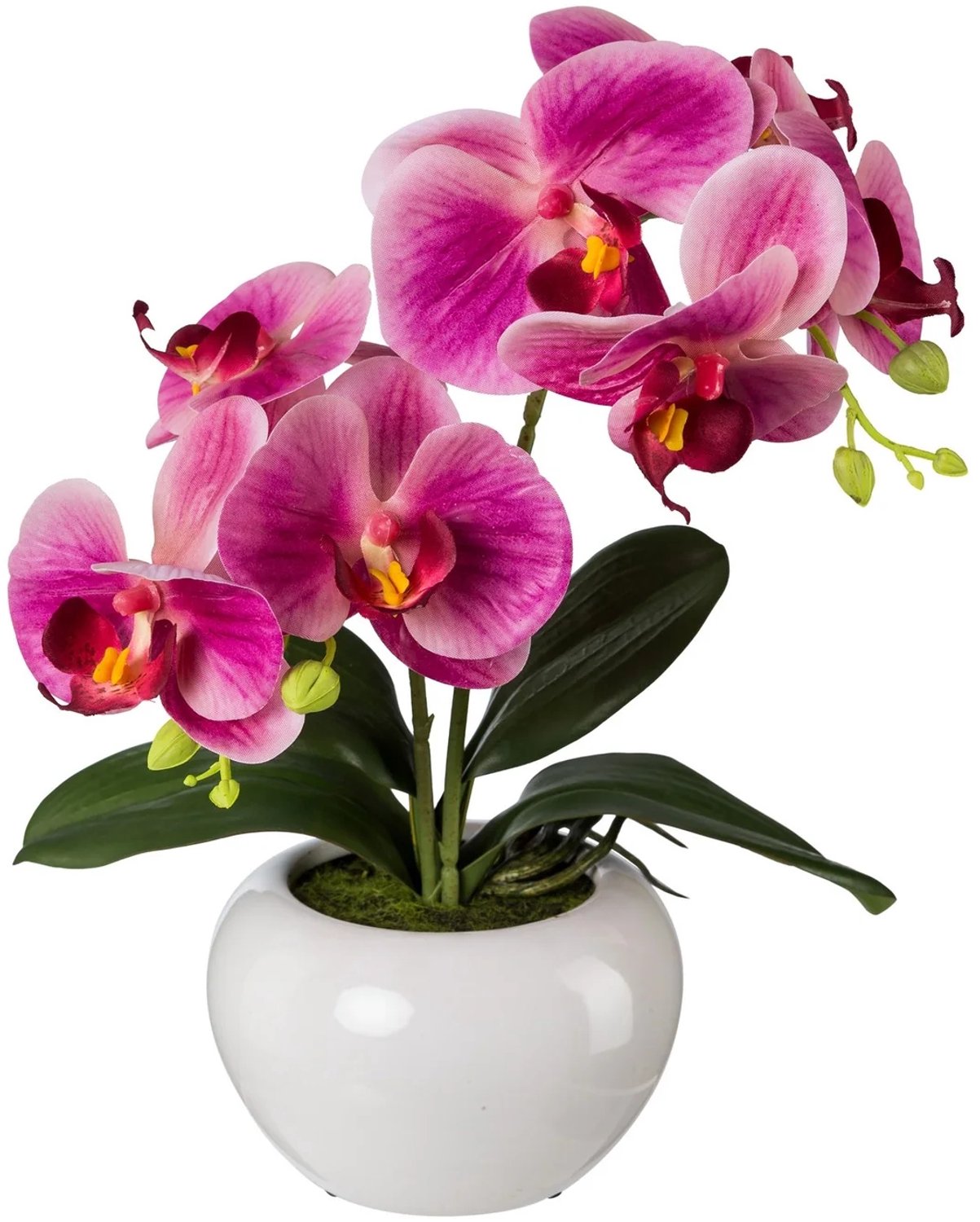 KOPU® Kunstorchidee 35 cm - Fuchsia - Witte pot - Phalaenopsis