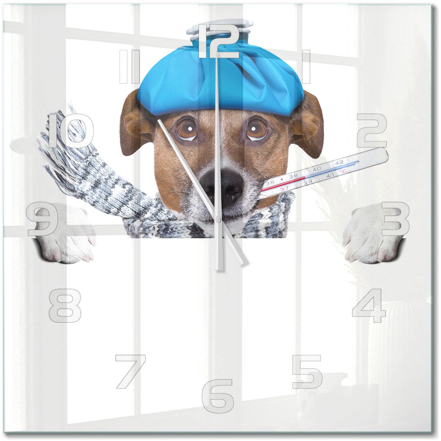 TULUP Wandklok - Zieke hond Klok Glas Met Opdruk - 60x60 cm - Blauw Moderne Wandklok Glas - Witte handen - Vierkante Klok - Decoratieve Glazen Klok - Glazen Wandklok Design