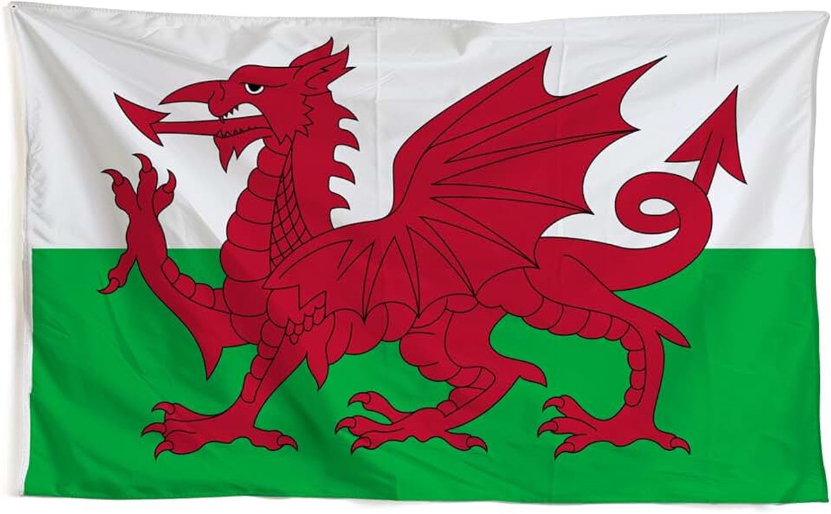 Wales vlag, 90 x 150 cm, Wales vlag met oogjes voor vlaggenmast, weerbestendig