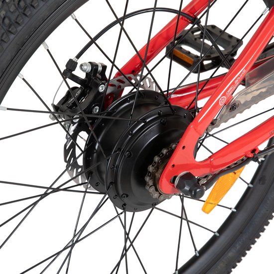 JOYSTAR 24 Inch Elektrische Kinder Mountainbike - 250W E-Bike voor Kinderen (7+ Jaar) - 25 km Actieradius - Met Verwijderbare Accu & Schijfremmen - Spaakwiel - Rood — afbeelding 4
