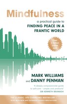 Boek 'Mindfulness: een praktische gids om rust te vinden in een hectische wereld' met silhouet van een stad en reflectie.