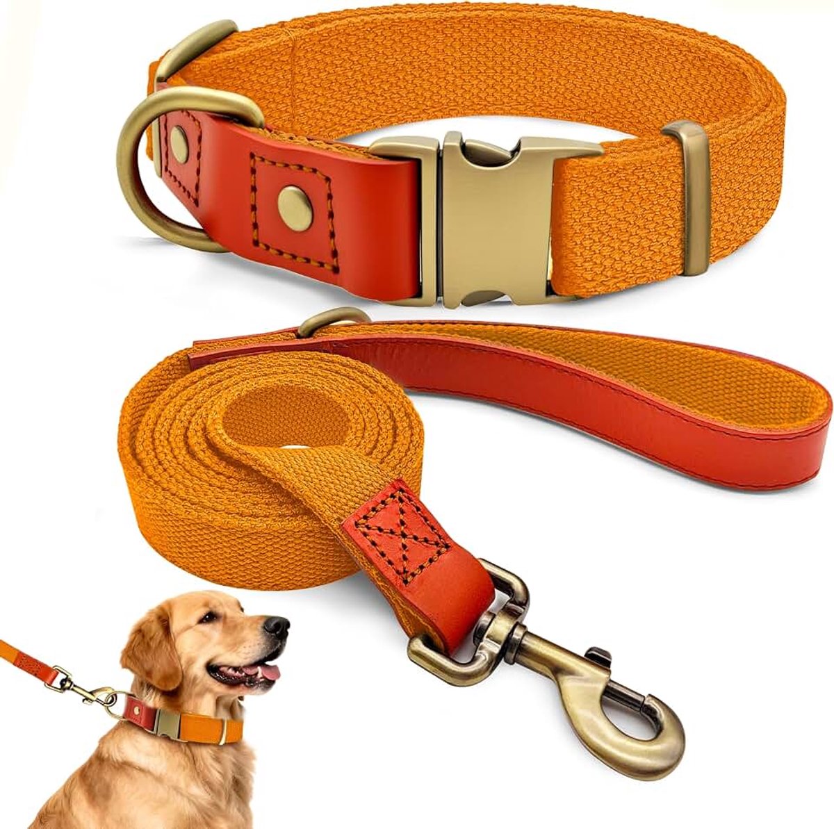 Hondenhalsband en riem, set voor honden, halsband en riem, verstelbare hondenhalsband voor kleine, middelgrote en grote honden, oranje, XL | Extra brede set van 2,5 cm voor zeer grote honden, extreem
