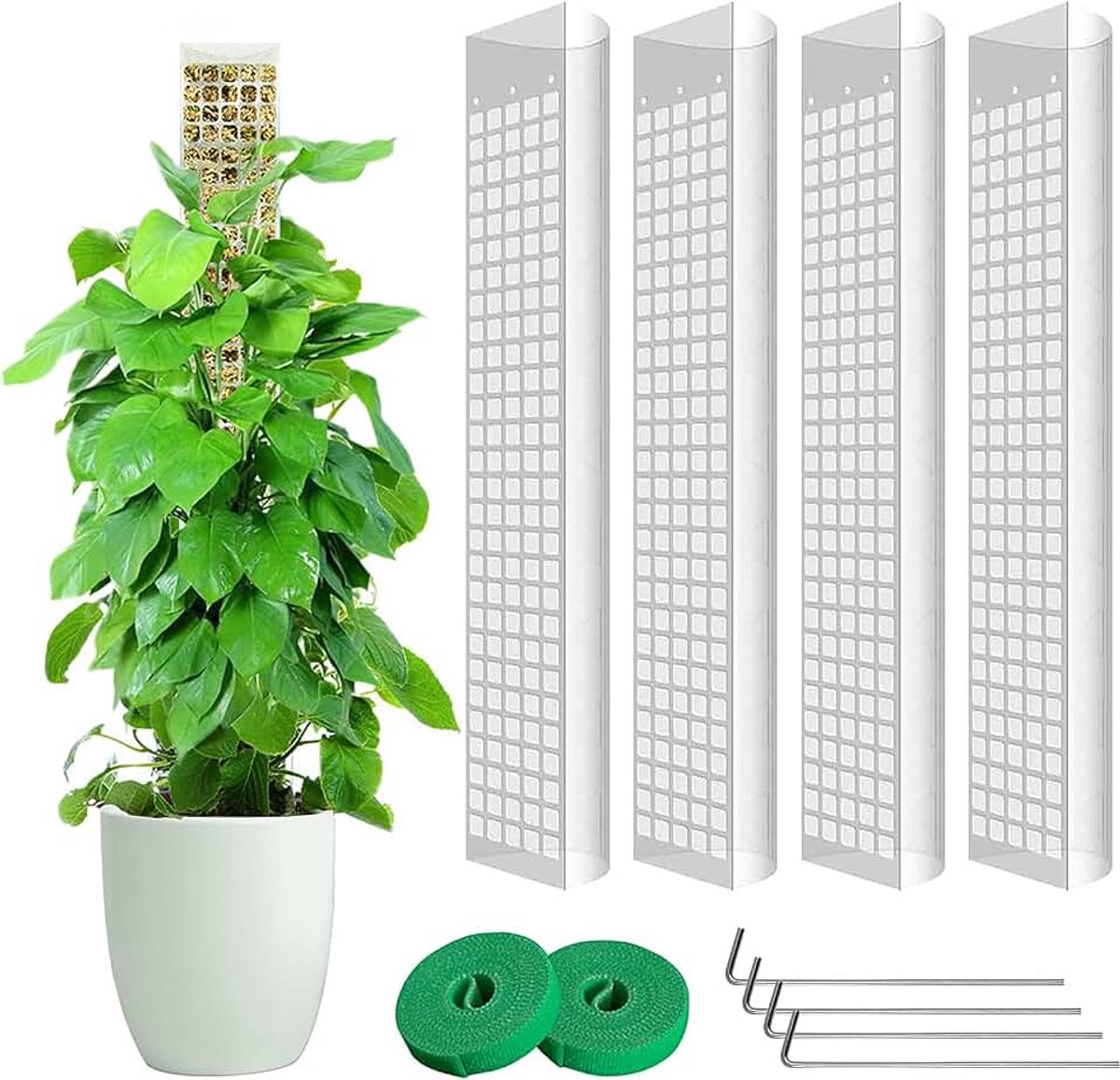 4 stuks plastic mosstangen van 61 cm voor Monstera en klimplanten, compatibel met veenmos, optimaal voor binnentuin, sterke plantensteun, verlengbaar en verbindbaar, bevordert een gezonde groei.