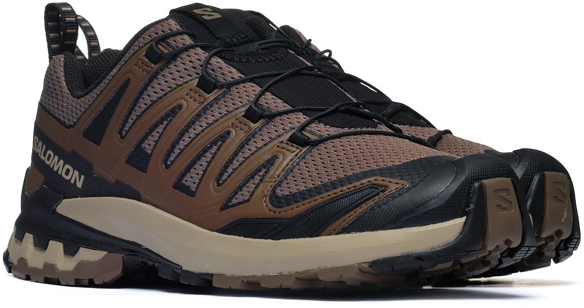 Trekking schoenen Salomon XA PRO 3D V9 Heren Bruin