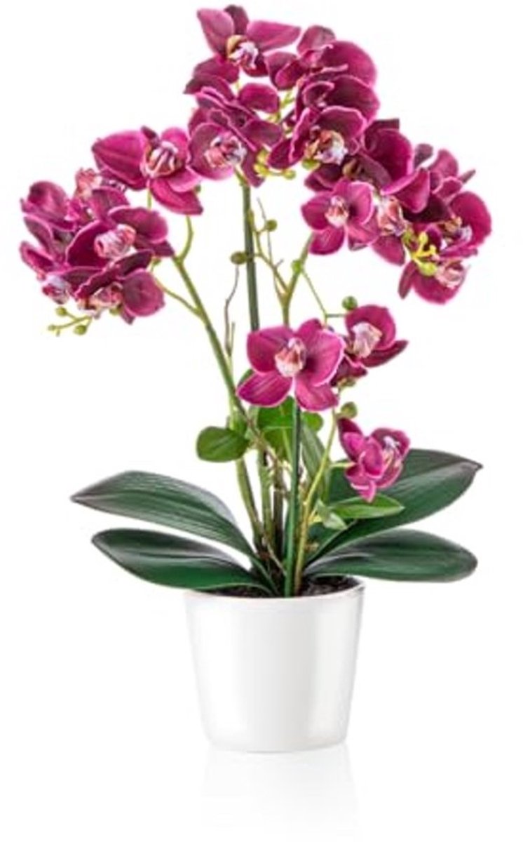 Kunstmatige Orchideeën in Glanzend Keramiek, 46 cm - Potted Flowers