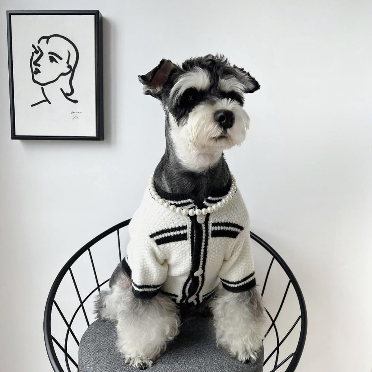 Halsbanden katten- en hondenaccessoires huisdieraccessoires parelhalsband kattenhalsband voor huisdieren katten puppy's kittens kleine middelgrote honden, wit