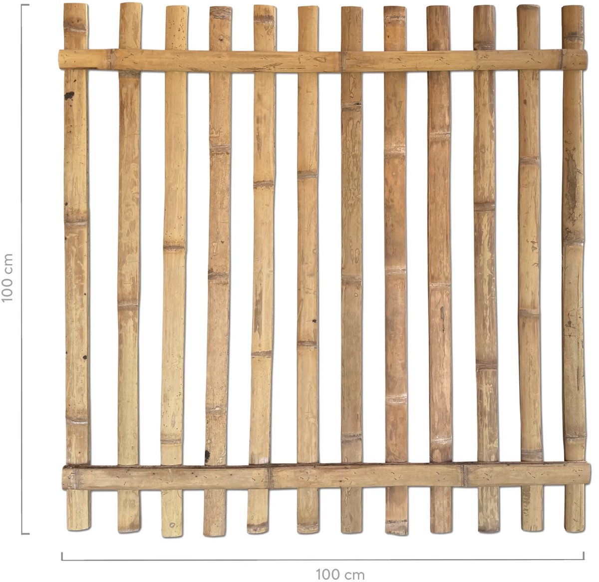 Masters of Bamboo® Bamboe Tuinhek Recht Amigo - 100 x 100 cm - Guadua bamboe - Bamboe hek - Tuinhekje