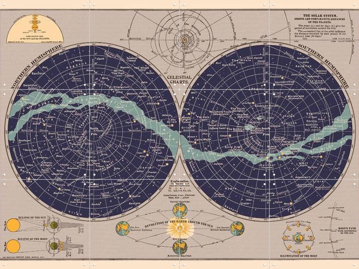 IXXI Celestial Chart, Aster Edition - 80 x 60 cm - Gratis ophangtool - Grote wanddecoratie en posters - Klassiek, Illustraties, Technische Tekening