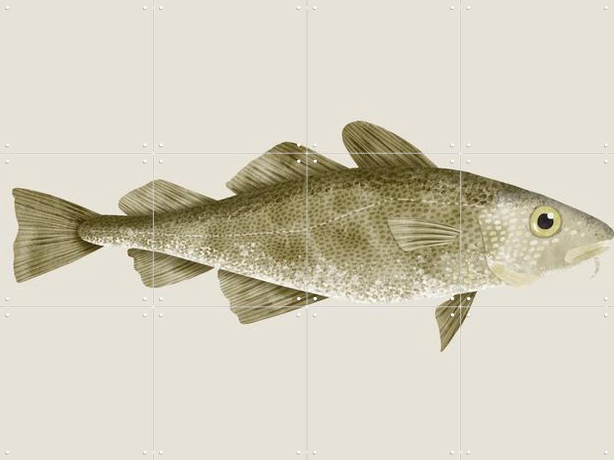 IXXI Codfish, Merel Corduwener - 80 x 60 cm - Gratis ophangtool - Grote wanddecoratie en posters - Illustraties, Keuken, Eetkamer, Woonkamer, Natuur