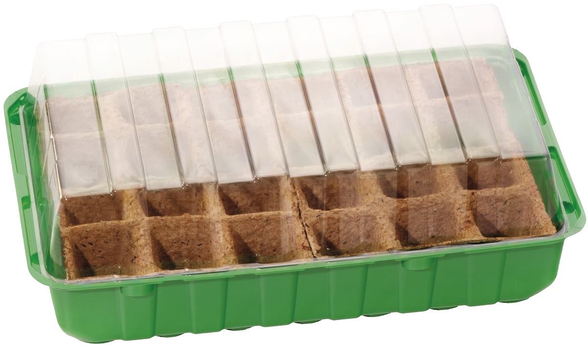 Romberg Classic Kweekkas M Groen 36x13cm plus 24 potjes