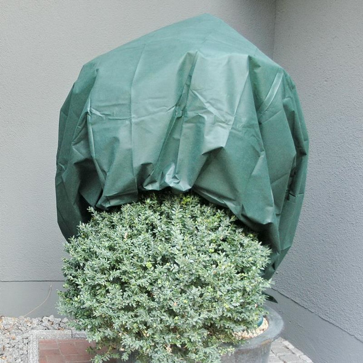 Noor Wintervlies groen 1,6 x 5 meter