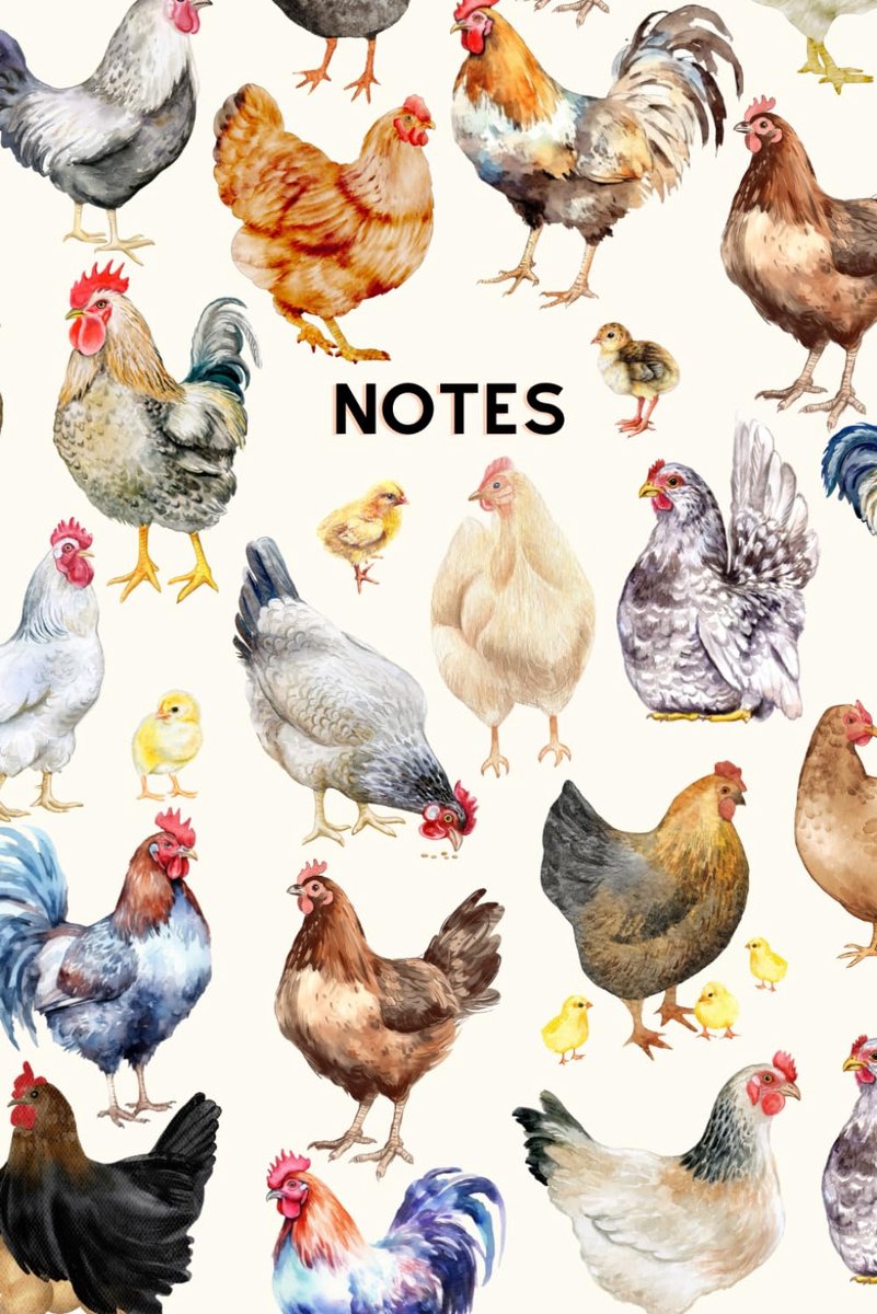 Chicken - A5 Notebook - 100 Lined Pages: Off White - ShopVlot