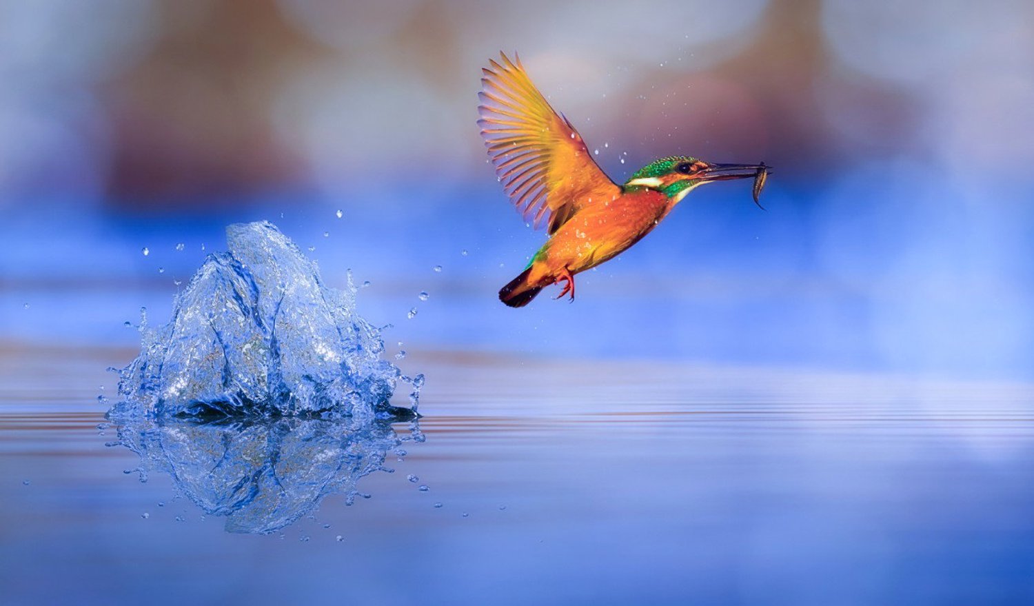 Vgdesign IJsvogel bij water 130x70 cm tuinposter banner VGDesign onbekend