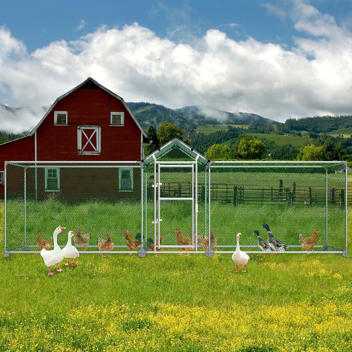 Vrijloophok kippenhok 5 x 1 x 1,5 m, verzinkt stalen frame, gevogeltestal met slot voor kippen en kleine dieren