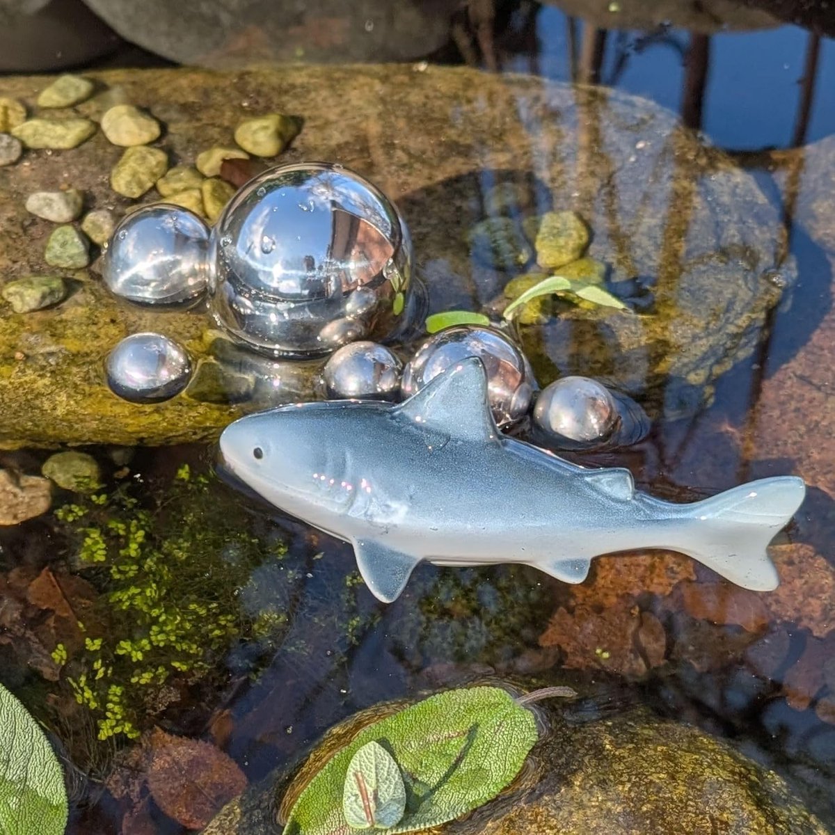 Haai, set met 6 roestvrijstalen zwemballen, zilverkleurig, vijverdecoratieset voor mini-vijver, decoratieve ballen, vijverballen, zwemfiguur, haai voor sierfontein, tuinvijver, modern design