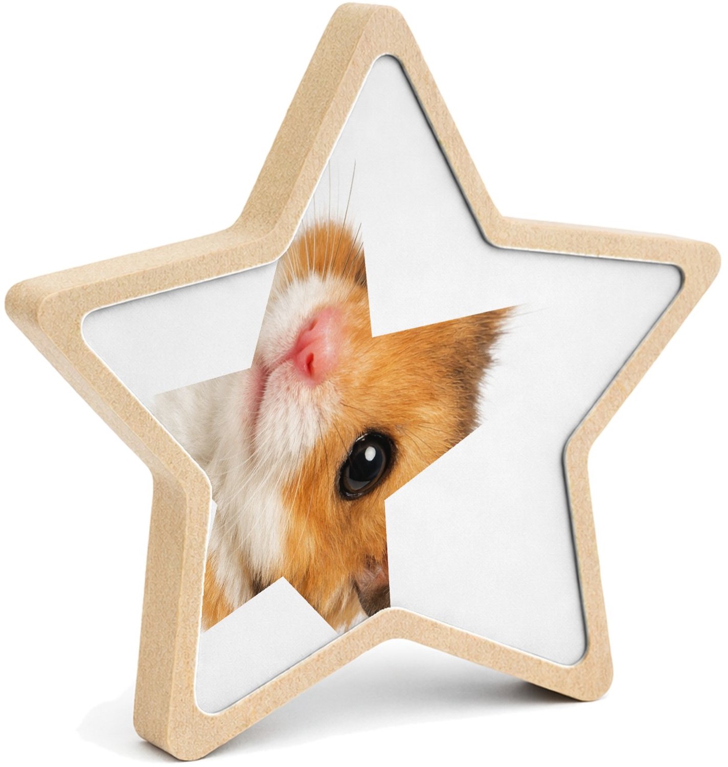 Mr Cadeautjes MDF fotolijst ster 14 x 13,5 - design Monumentaal huisdierportret met warme close-up en diepe donk | cadeau Wit