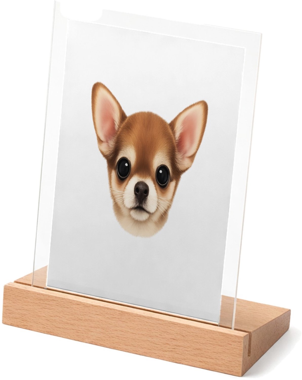 Mr Cadeautjes Glasframe met vaste tekst - design Een klein, centraal portret van een nieuwsgierige kat met ro | cadeau Wit