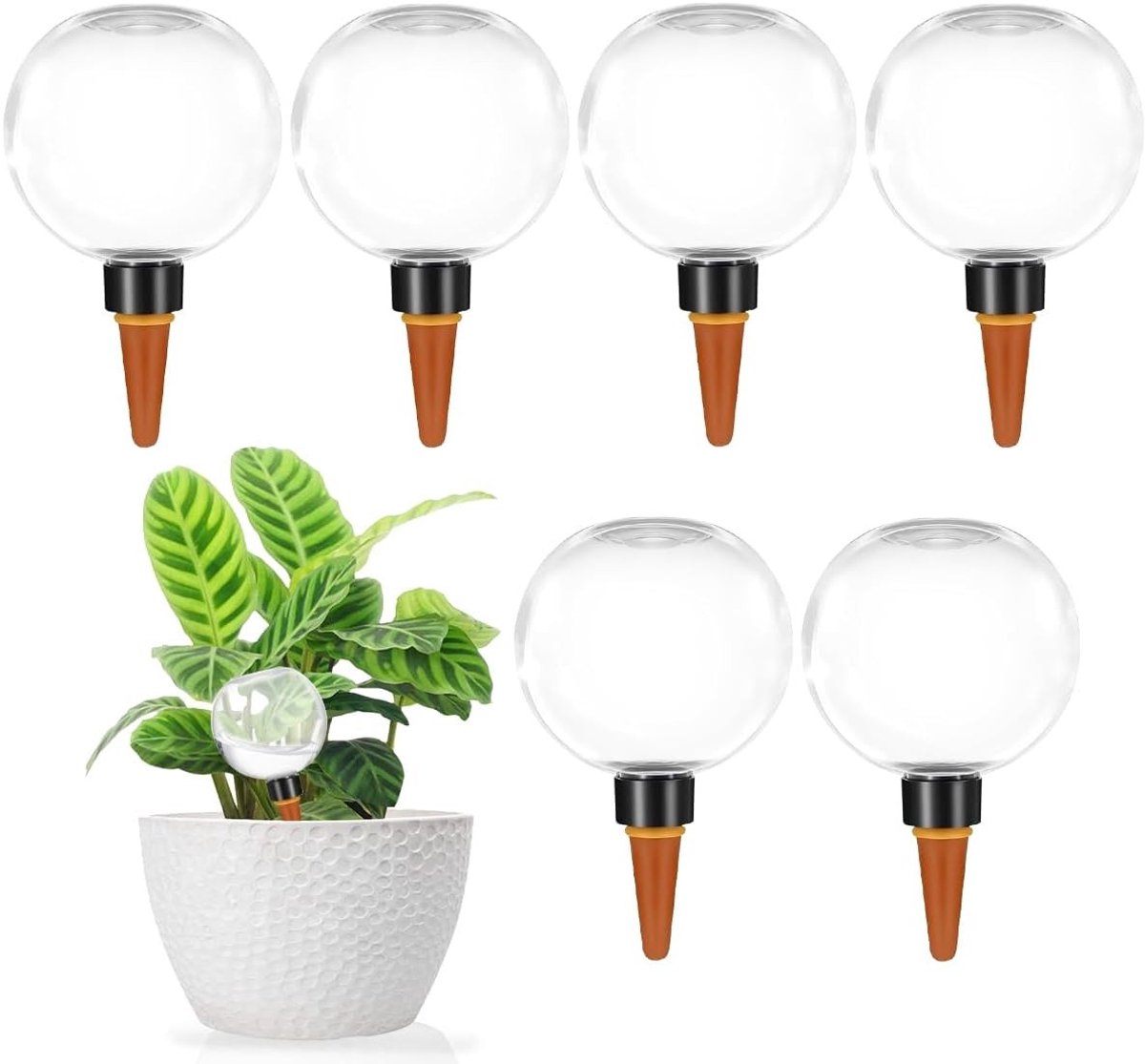 Bewateringsballen voor Planten - Translucent - Geschikt voor alle Planten - Voor Gemakkelijke Bewatering