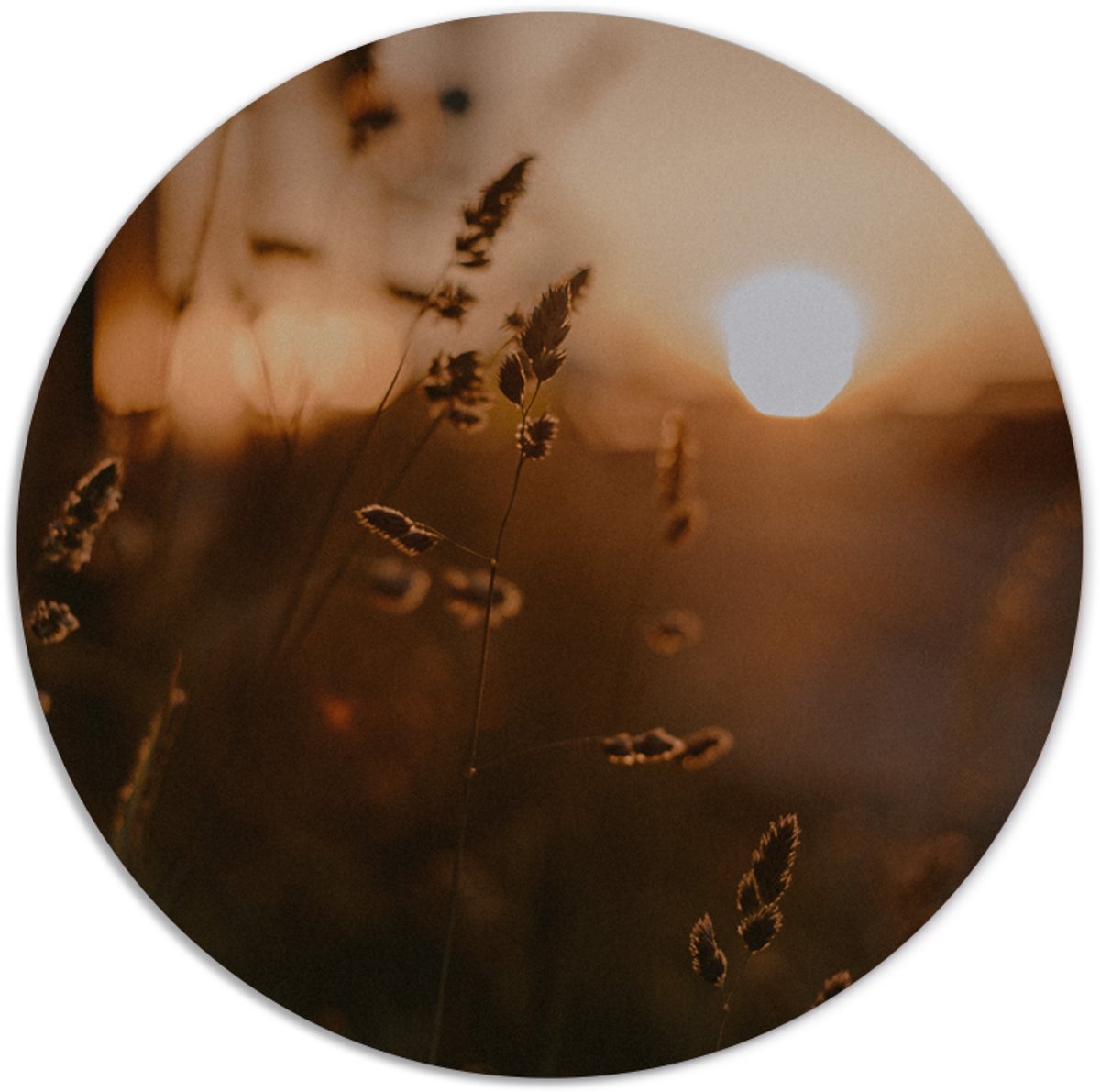 Label2X - Muurcirkel mystic gold - Ø 50 cm - Forex - Multicolor - Wandcirkel - Rond Schilderij - Muurdecoratie Cirkel - Wandecoratie rond - Decoratie voor woonkamer of slaapkamer