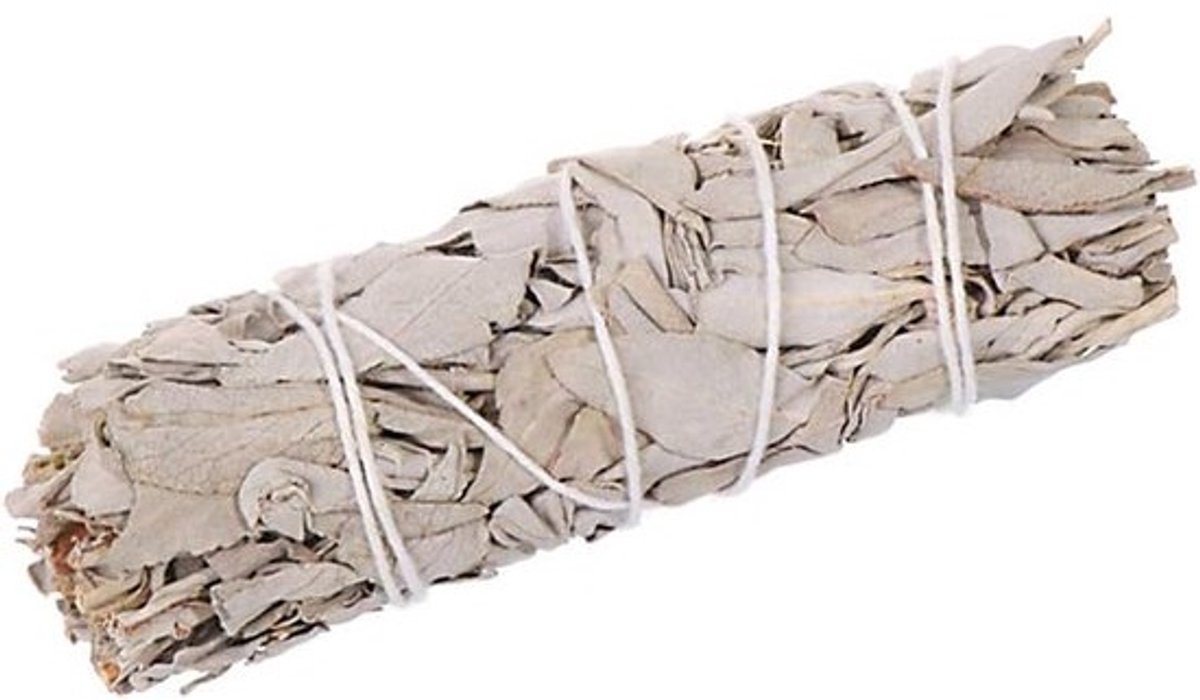 Witte Salie Smudge Sticks 10cm - Zuiverende Wierook Bundel Salie voor Reiniging