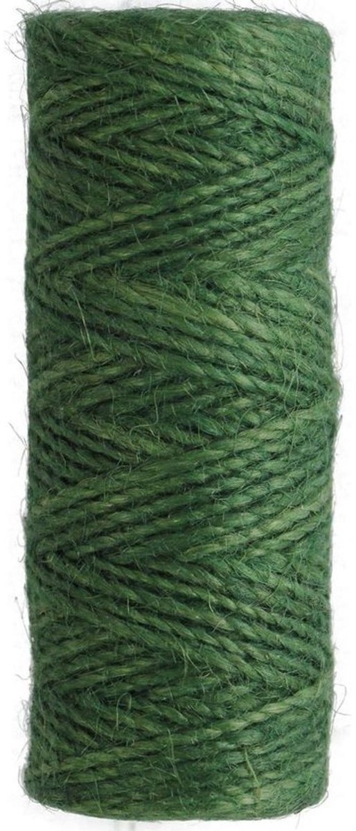 2mm Natuurlijke Hennep String Touw - Dikke Jute Touw Koord voor DIY Ambachten - Decoratie Bundelen Tuinieren (Groen)