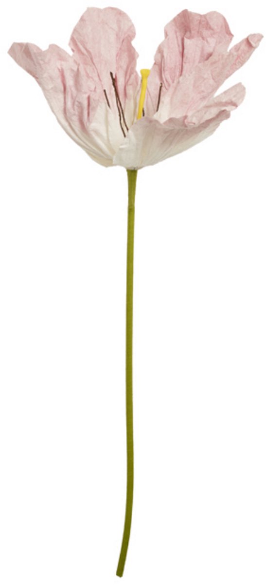 Light & Living Kunstplant LOEK - Roze - 33x33x120 cm