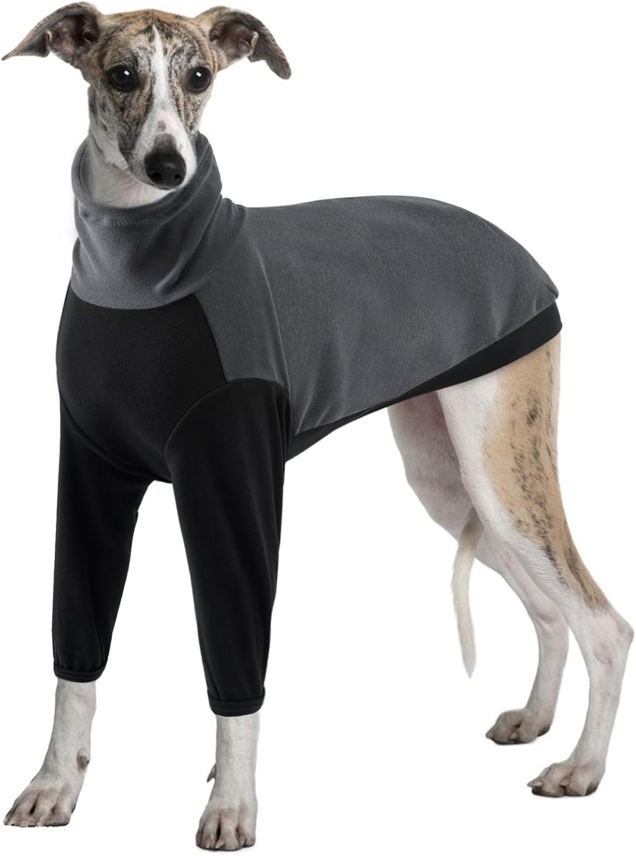 Fleece trui, comfortabele trui voor Saluki winterkleding, stijlvolle indoor fleece voor windhond (grijs, 3XL)