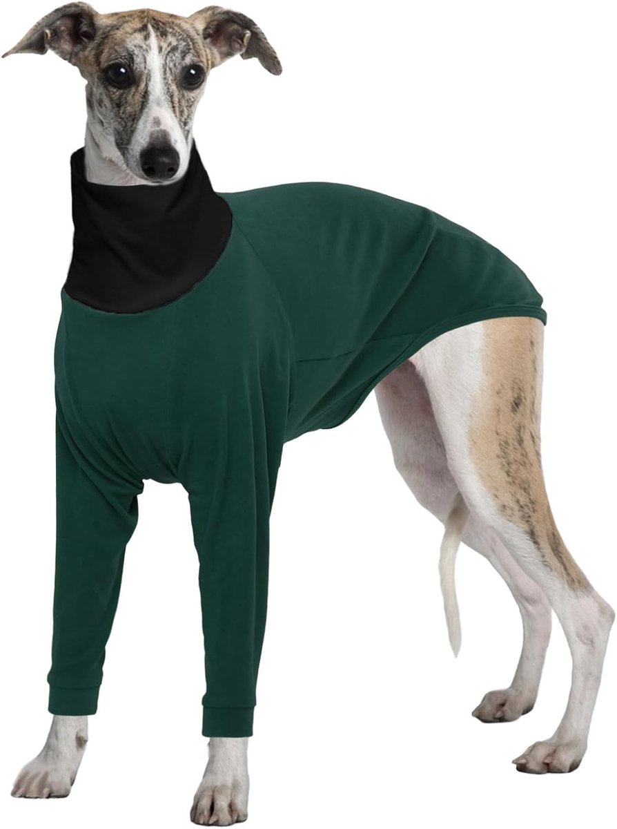 Winterjas, Salukis Trui Greyhound Winterkleding Sighthound Jas Hond Fleece Shirt Lente Herfst Hond Jumpsuit Pyjama (Legergroen, XXL)