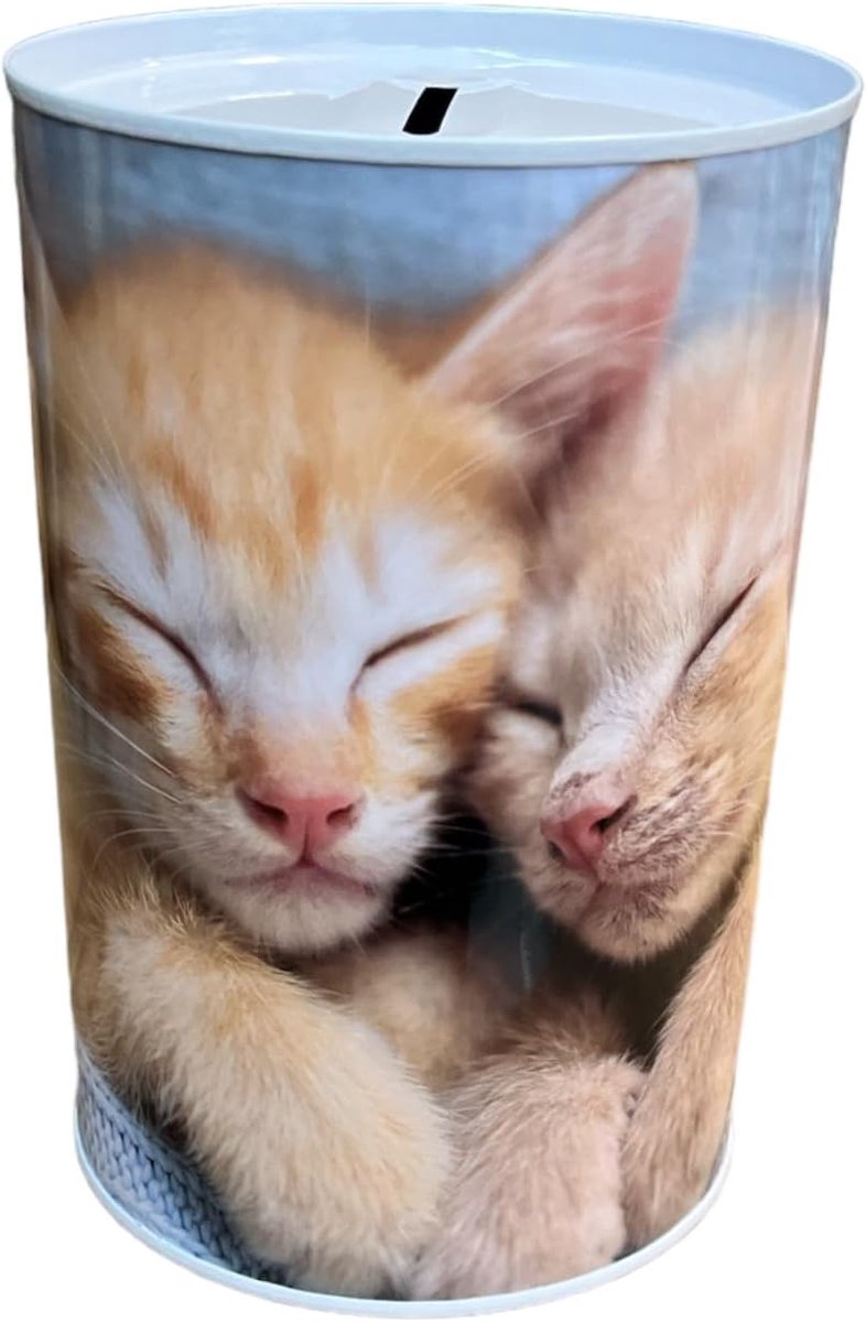 Spaarpot met stijl en boodschap, kittens, 16 x 12 cm
