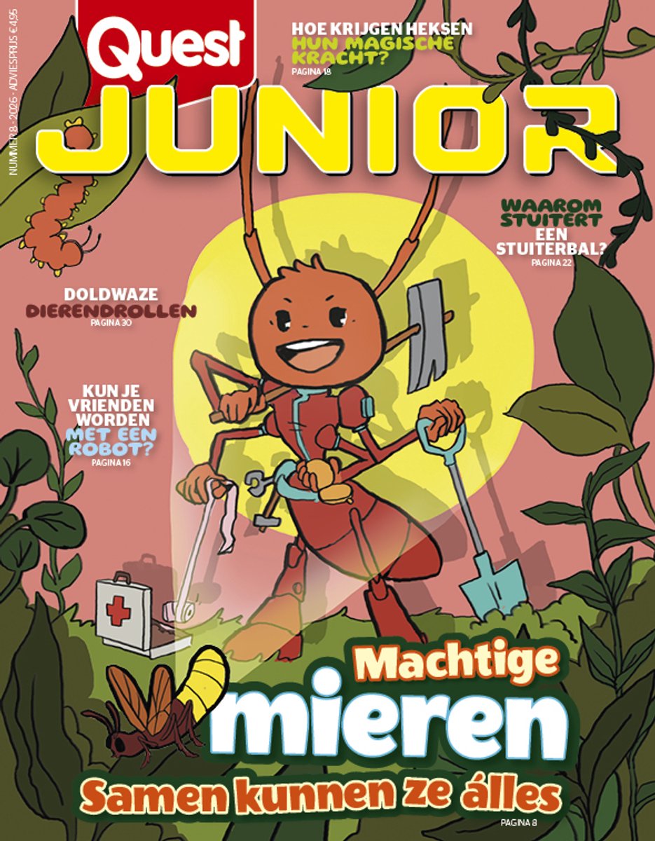 Quest junior editie 8 2026