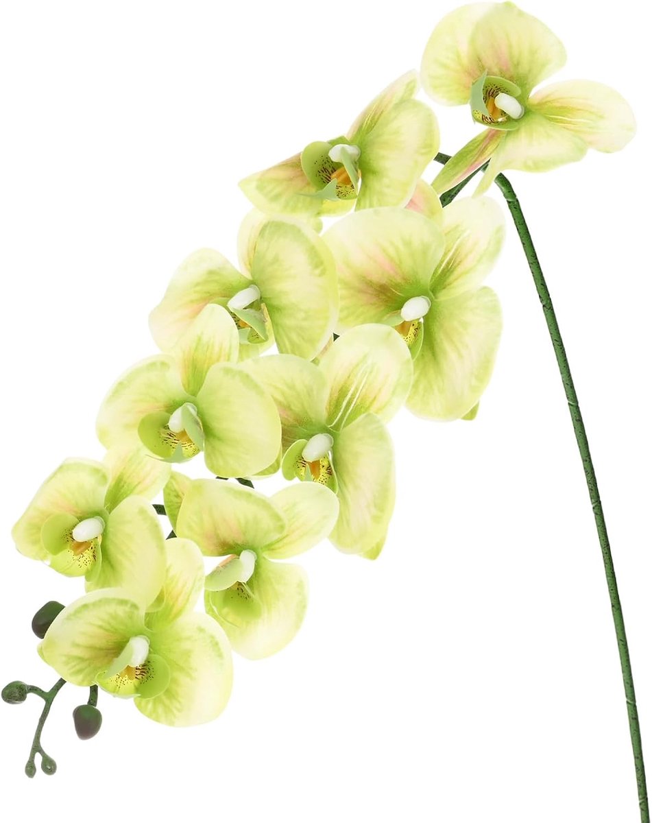 1-Pack Kunstorchidee Bloemen 9 Grote Bloemblaadjes 97 Inch Faux Phalaenopsis Zijden Boeketten Real Touch Lichtgroene Nep Orchideeën voor Thuis/Bruiloft/Kerstmis/Feest/Tuin Kantoor