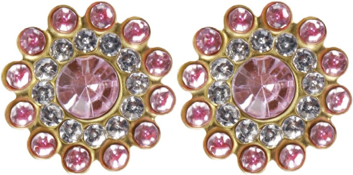 200 stuks roze bloemen opnaaibare strass steentjes met platte achterkant van glas voor naaien, knutselen, kleding, schoenen, tassen, bruiloftsdecoraties