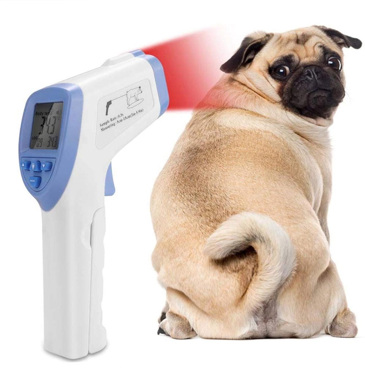Diertemperatuurmeting Paardenthermometer Paardenthermometer Dierbenodigdheden,voor Varkens Schapen Paard Hond Dieren Dierlijke Producten