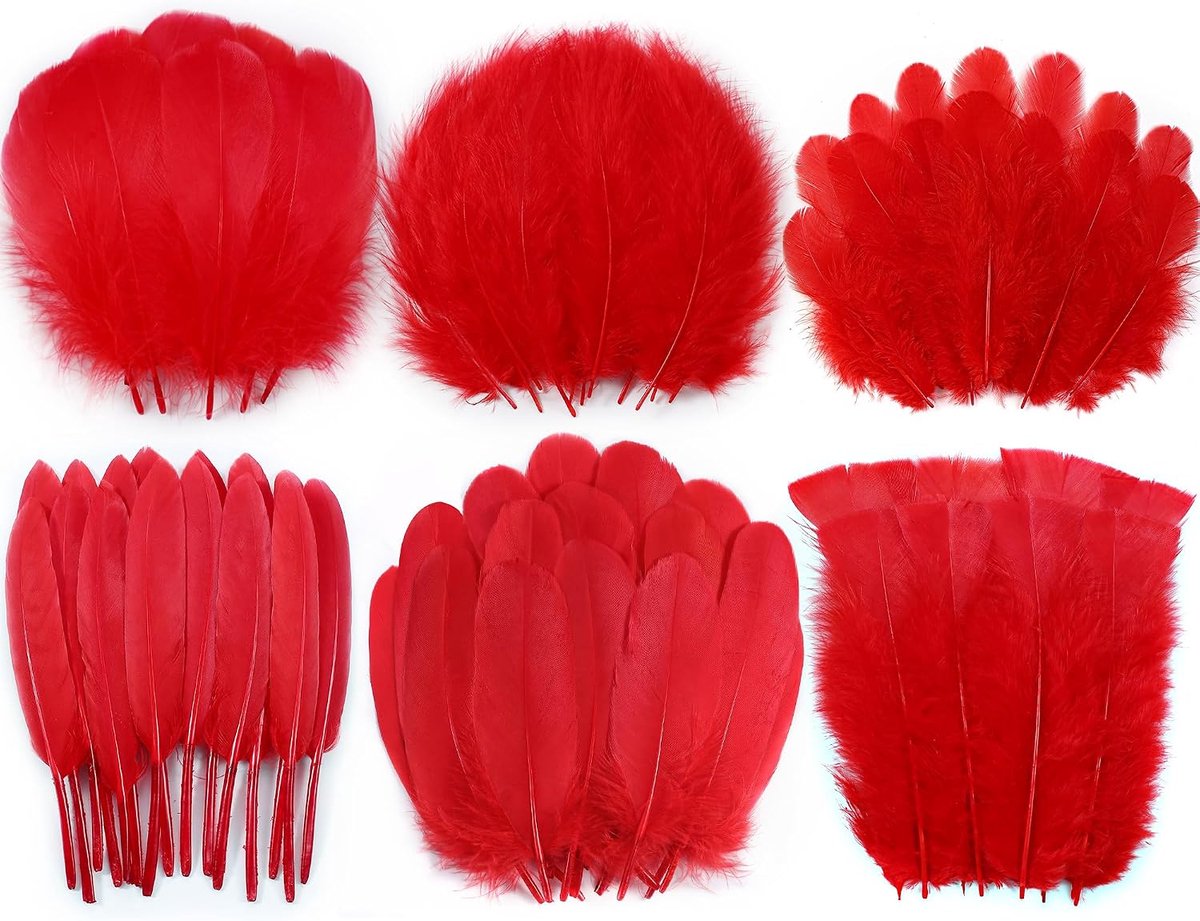 Rode ambachtelijke veren bulk - 240 stuks 6 stijlen gemengde natuurlijke veren voor bruiloft thuisfeest, dromenvanger benodigdheden en doe-het-zelf ambachten (rood)