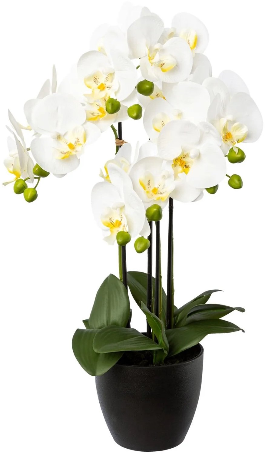Kopu Kunstorchidee 55 cm - Wit - 4 takken - Zwarte pot - Phalaenopsis