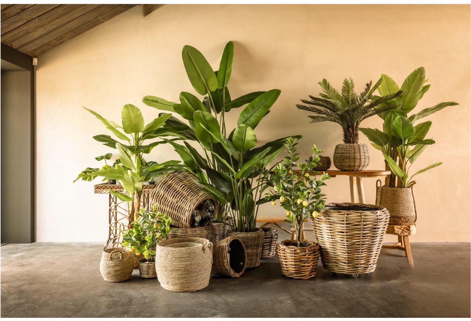 van der Leeden Varen in pot om op te hangen 43 cm - kunstplant