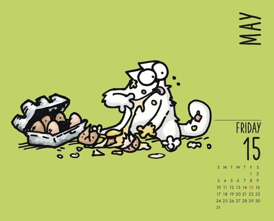 Simon's Cat Kalender 2020 Boxed  bol.com