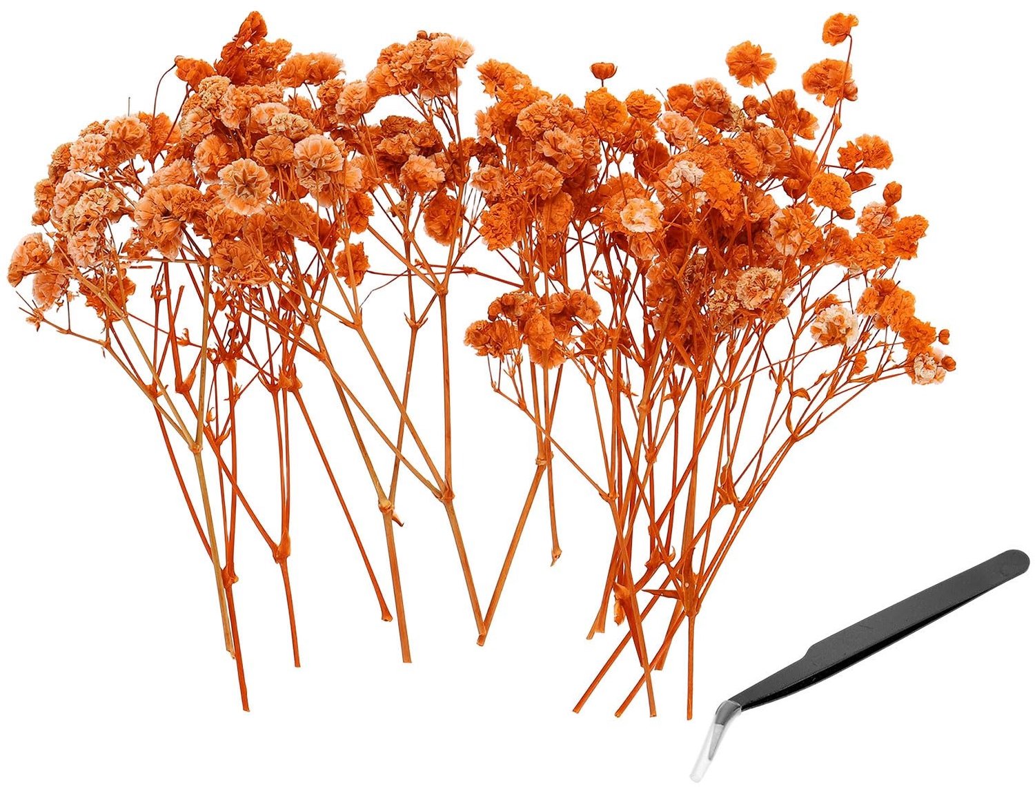 Famanu Geperste gedroogde gypsophila bloemen, 30 stuks voor DIY en knutselen, 10 cm