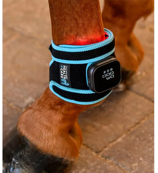 Zwarte Health + Care infraroodband met blauwe rand om het been van een paard, met rood licht en digitaal display.