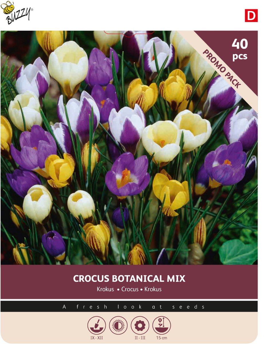 Buzzy Bloembollen Crocus Botanische mix 40st