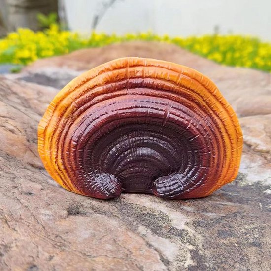 Paddenstoel Hangende Decoratieset, Levensechte Wandplanken voor Tuin met Landelijke Smaak — afbeelding 3