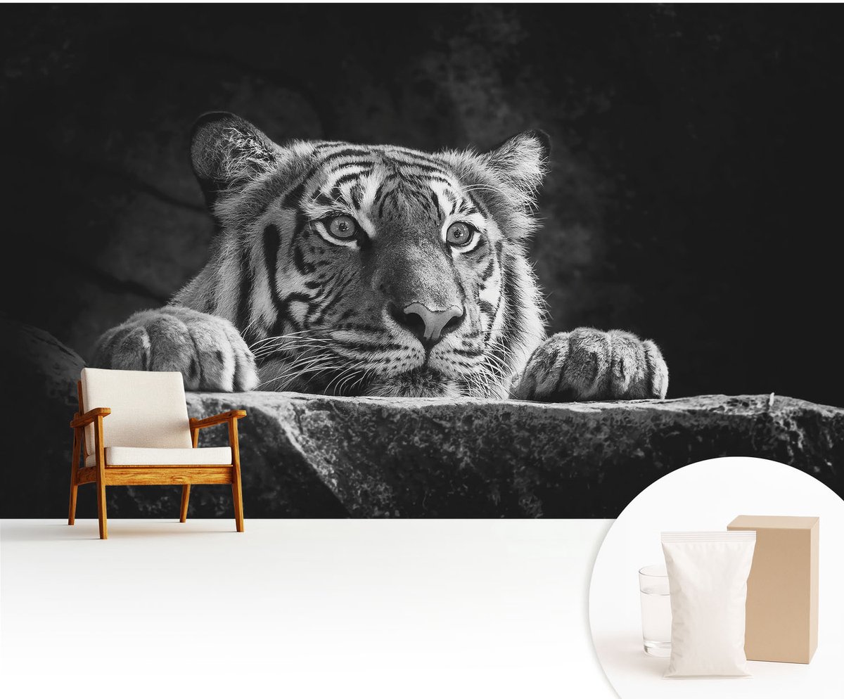 Wallfluent Fotobehang - Zwart-Wit Vliesbehang - 416x254 cm - Roofzuchtige Blik Fotobehang Vlies - Woonkamer behang Dieren - Muurschildering - Woonkamer behang