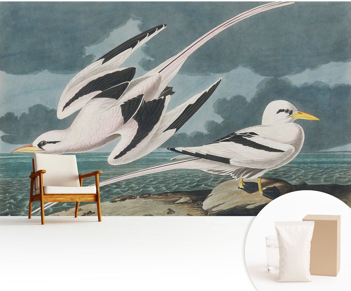 Wallfluent Fotobehang - Grijs Vliesbehang - 416x254 cm - Vogels Aan Zee Muurschildering - Gang behang Dieren - Fotobehang Vlies - Gang behang