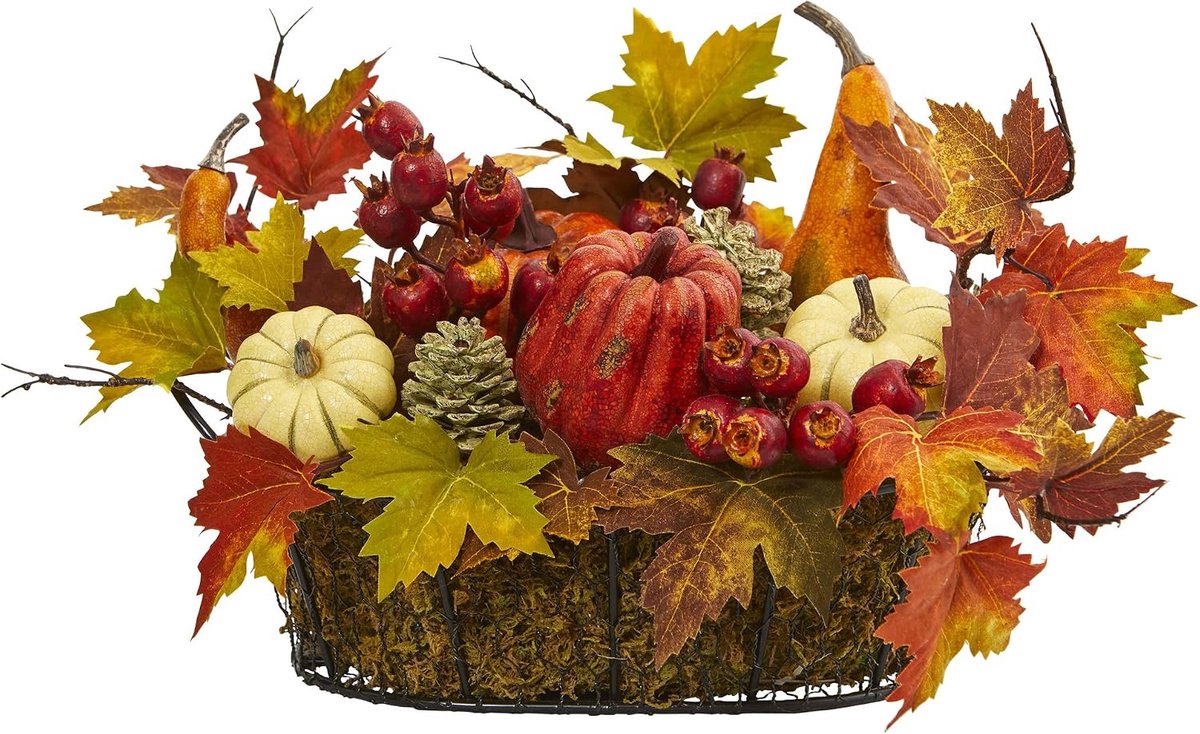 Natuurlijke pompoen, kalebes, bessen en esdoornblad Arrangement, Multi/kleur