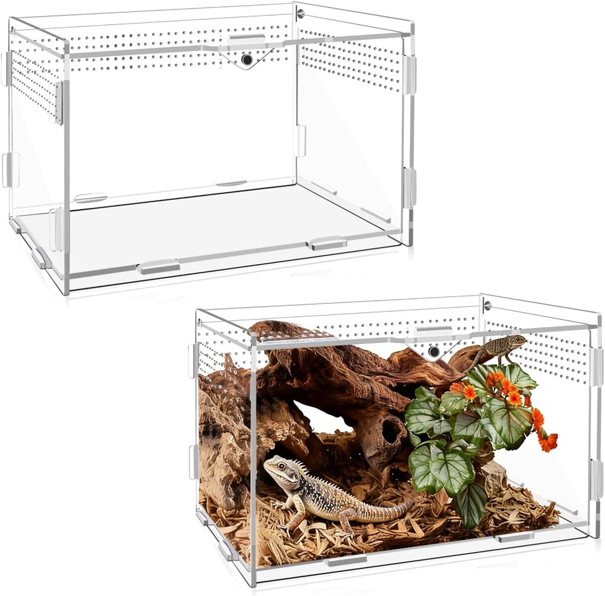 20 x 12 x 12 cm transparant acryl slak terrarium