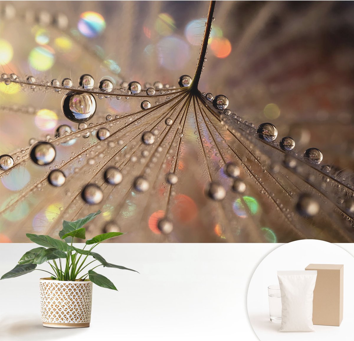 Wallfluent Fotobehang - Beige Vliesbehang - 152x104 cm - Pareldruppels Fotobehang Vlies - Woonkamer behang Texturen - Muurschildering - Woonkamer behang