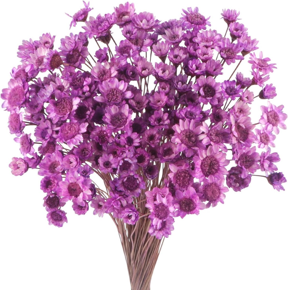 300 stuks gedroogde bloemen voor bloemstukken, inclusief mini madeliefjes en kamille, ideaal voor bruiloften en decoraties