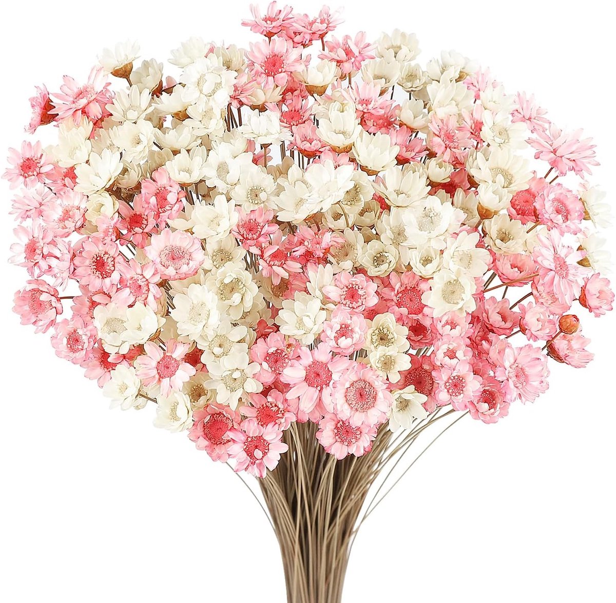 300 Stelen Gedroogde Bloemen - Kleine Ster Daisies in Wit en Roze voor Bruiloft, DIY Decoraties en Handwerk