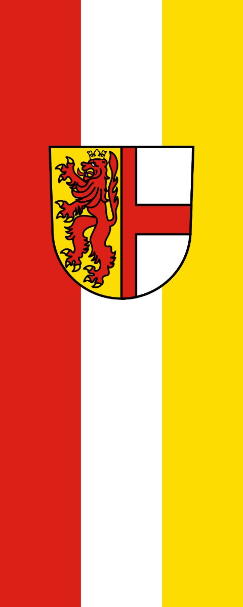 Vlag Radolfzell 200x300cm