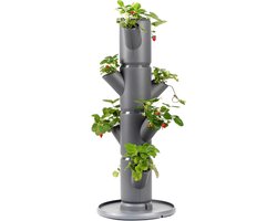 Plantenbak Aardbeien - Pot Plantentoren - Aardbeien Kweken - Verticaal Systeem - 317 x 317 x 77 cm - Antraciet/Grijs